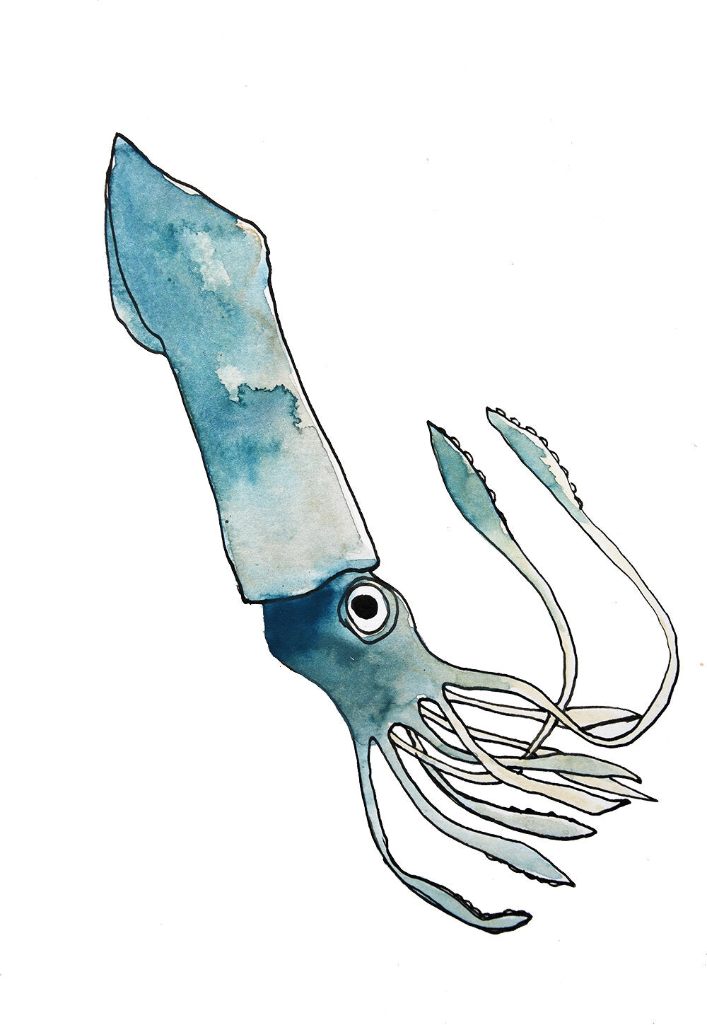 Blue Squid