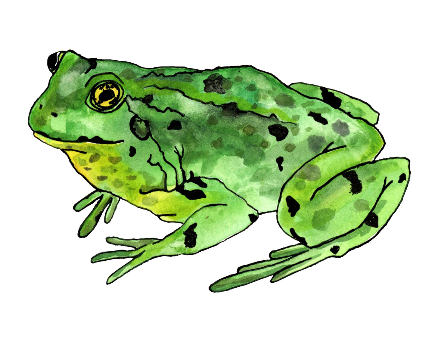 Green Frogger 1