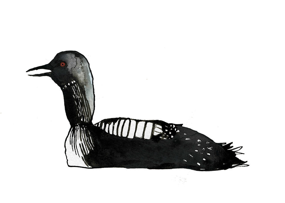 Loon