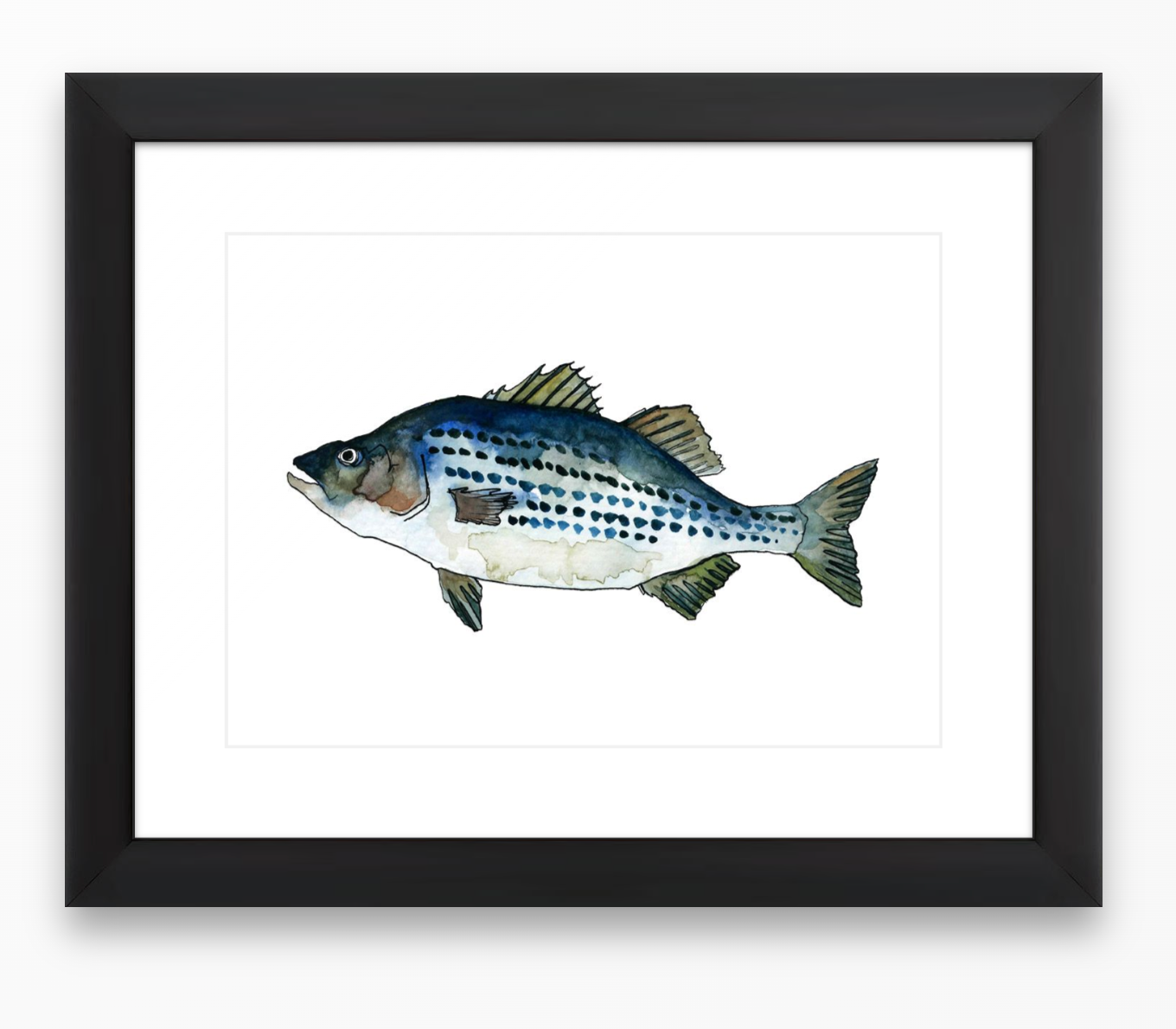 Striper Too