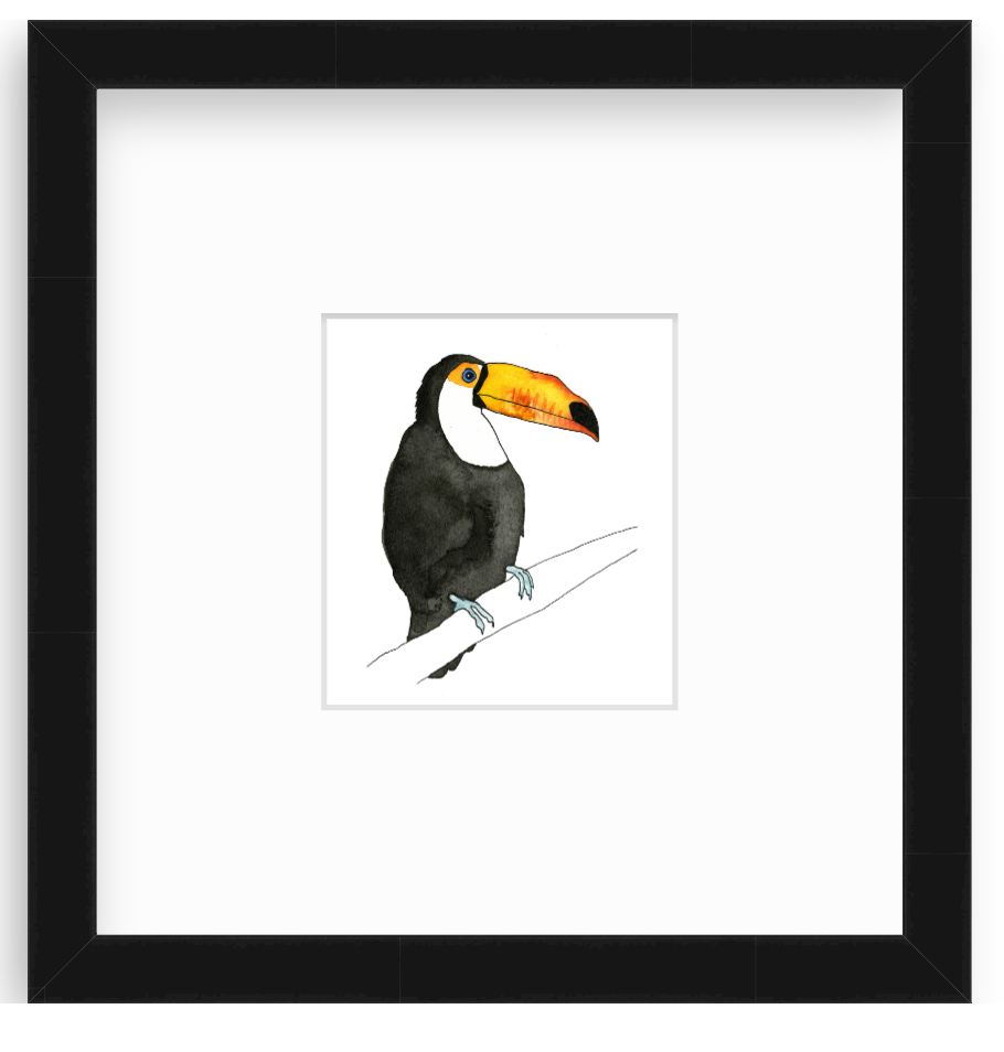 Toucan
