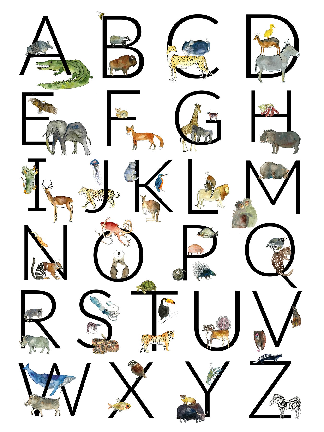 Alphabet Poster