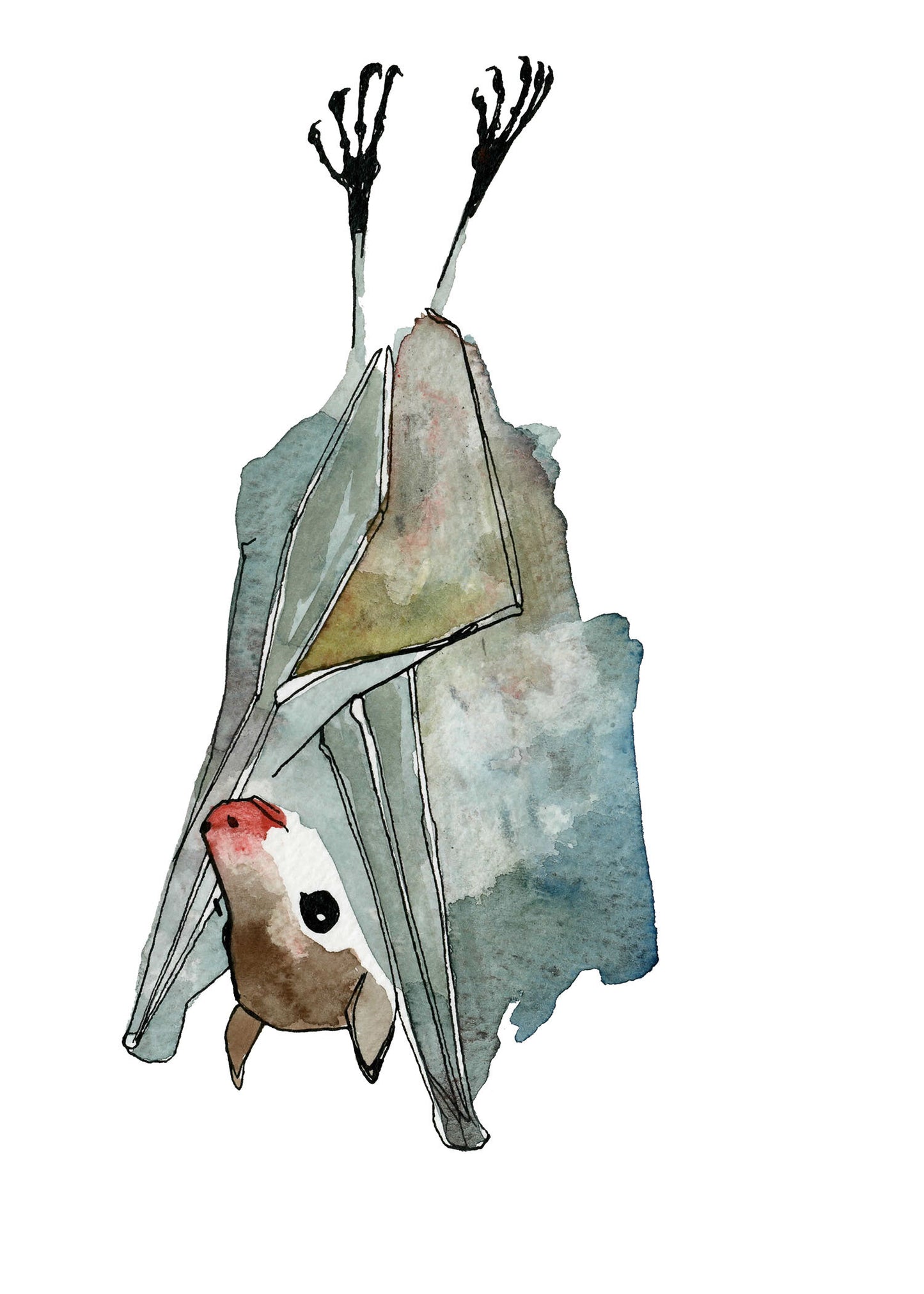 Bat 2