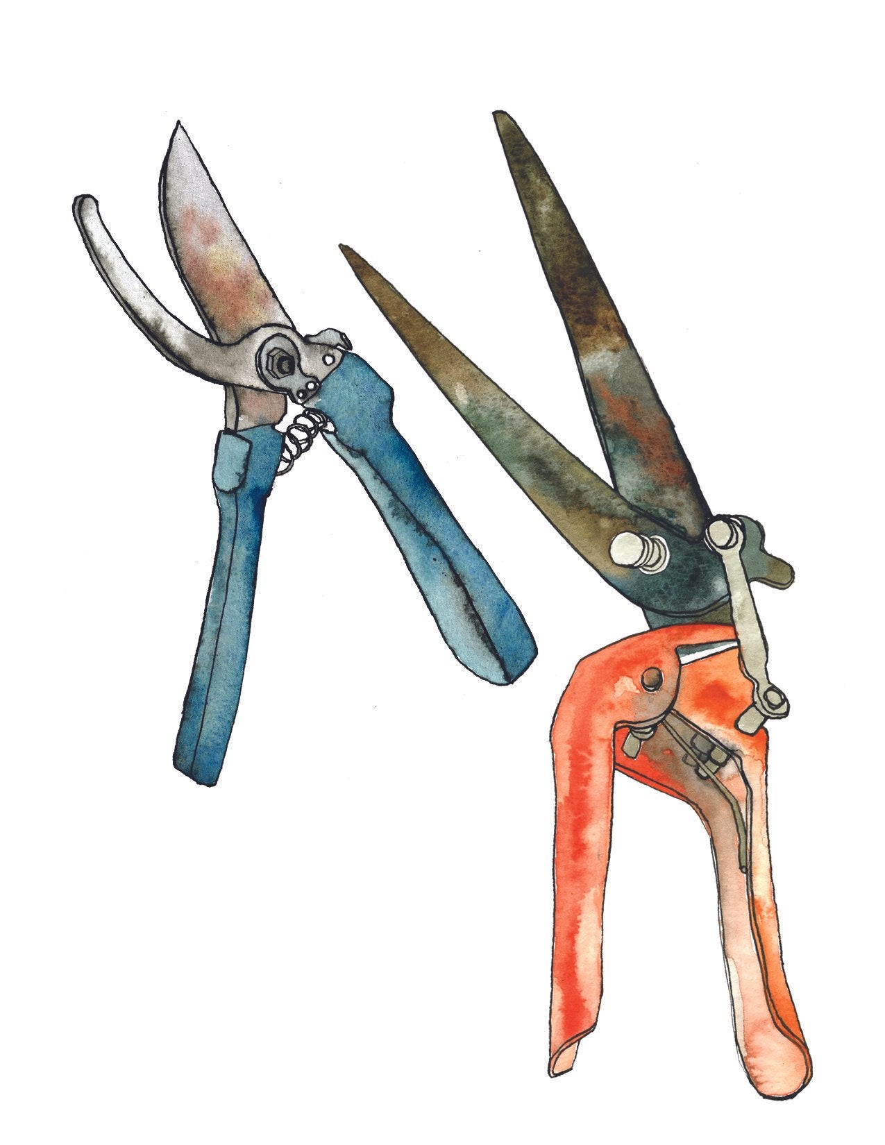 Clippers