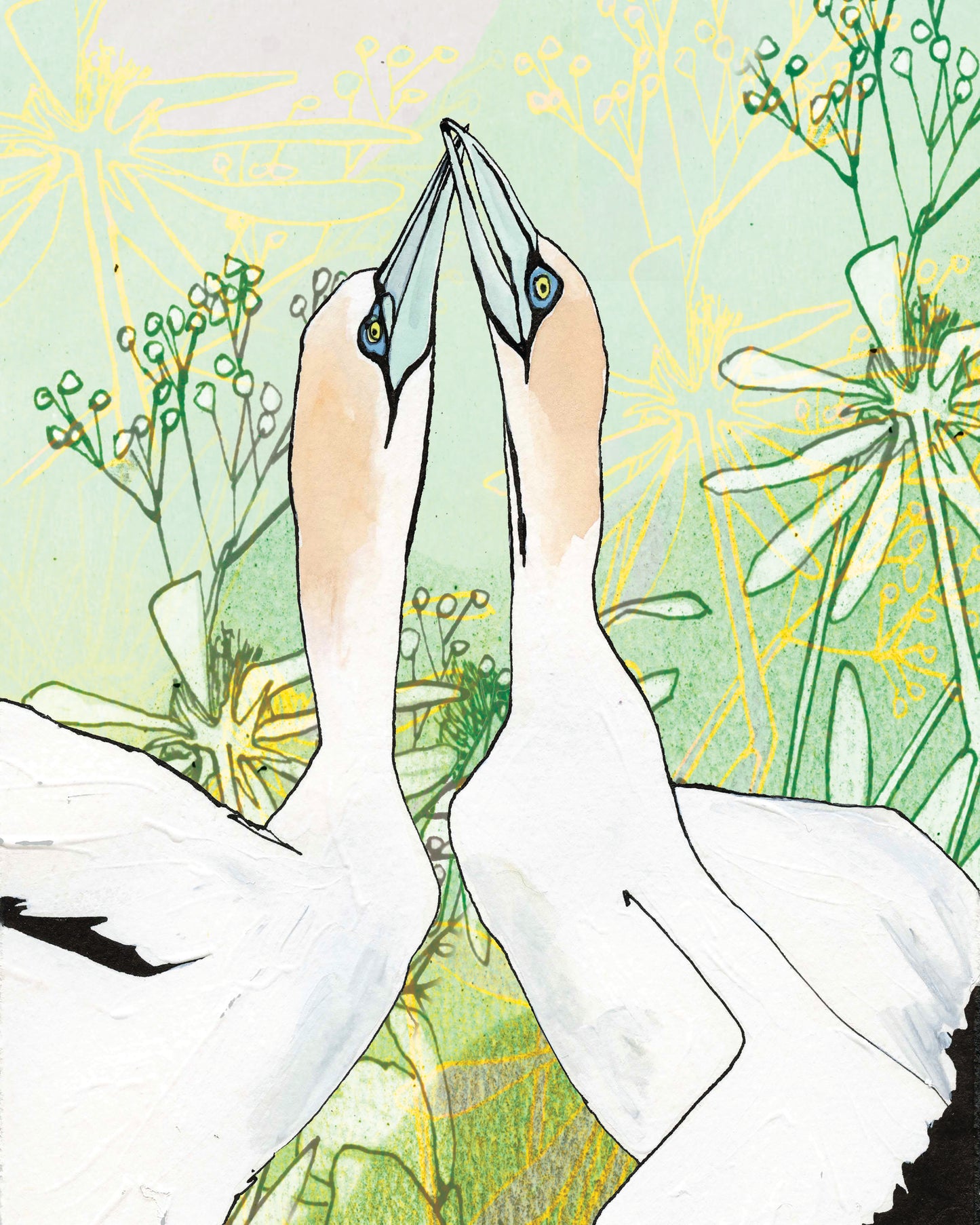 Gannets et Flur
