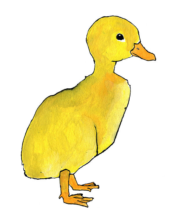 Duckling