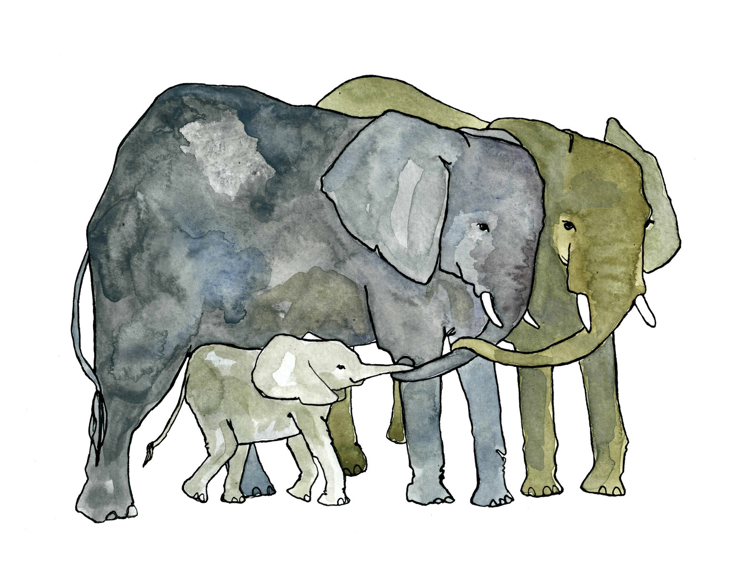 Elephant Family