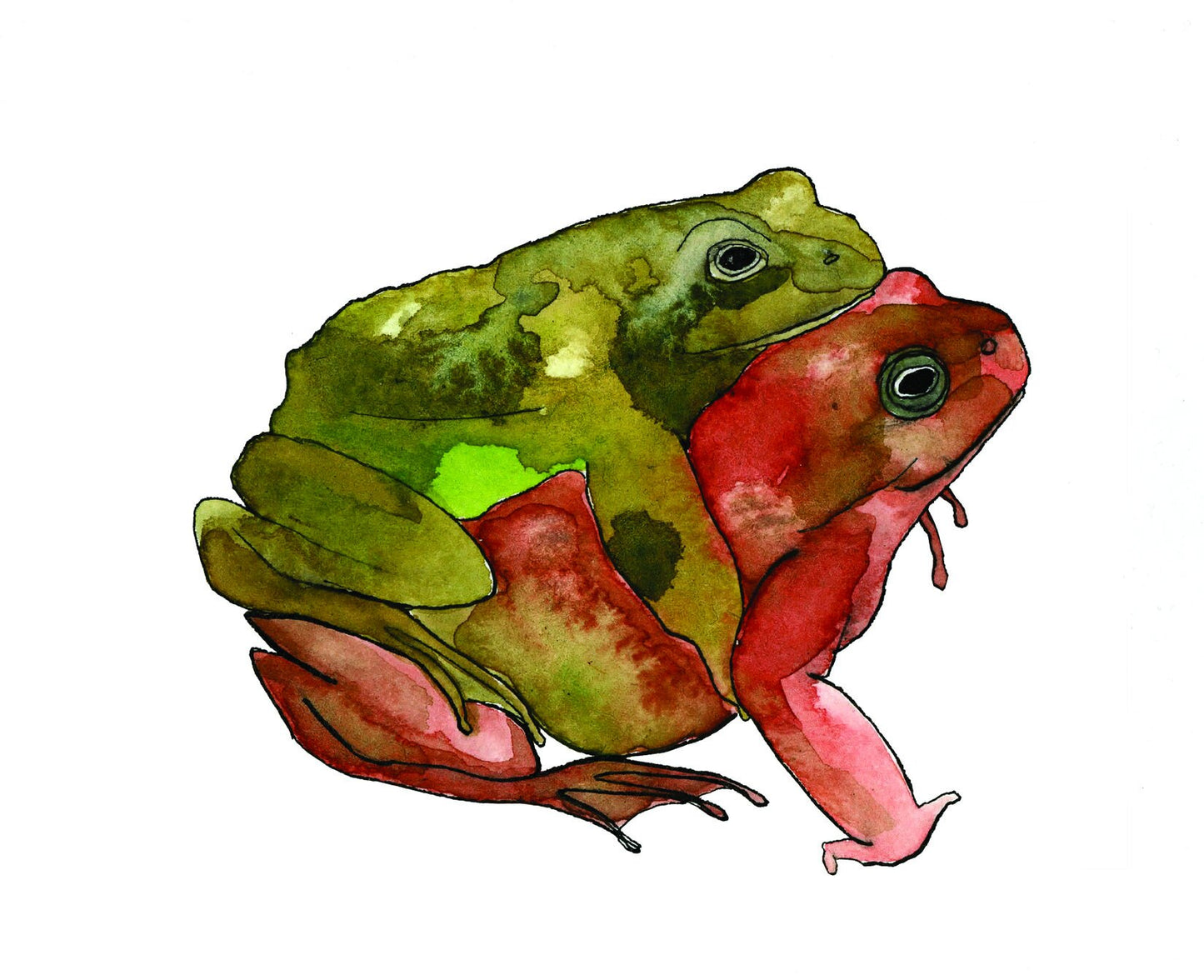 Frog Love