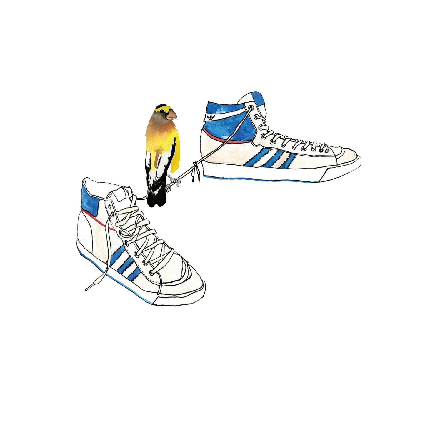 Grosbeak and Sneaks