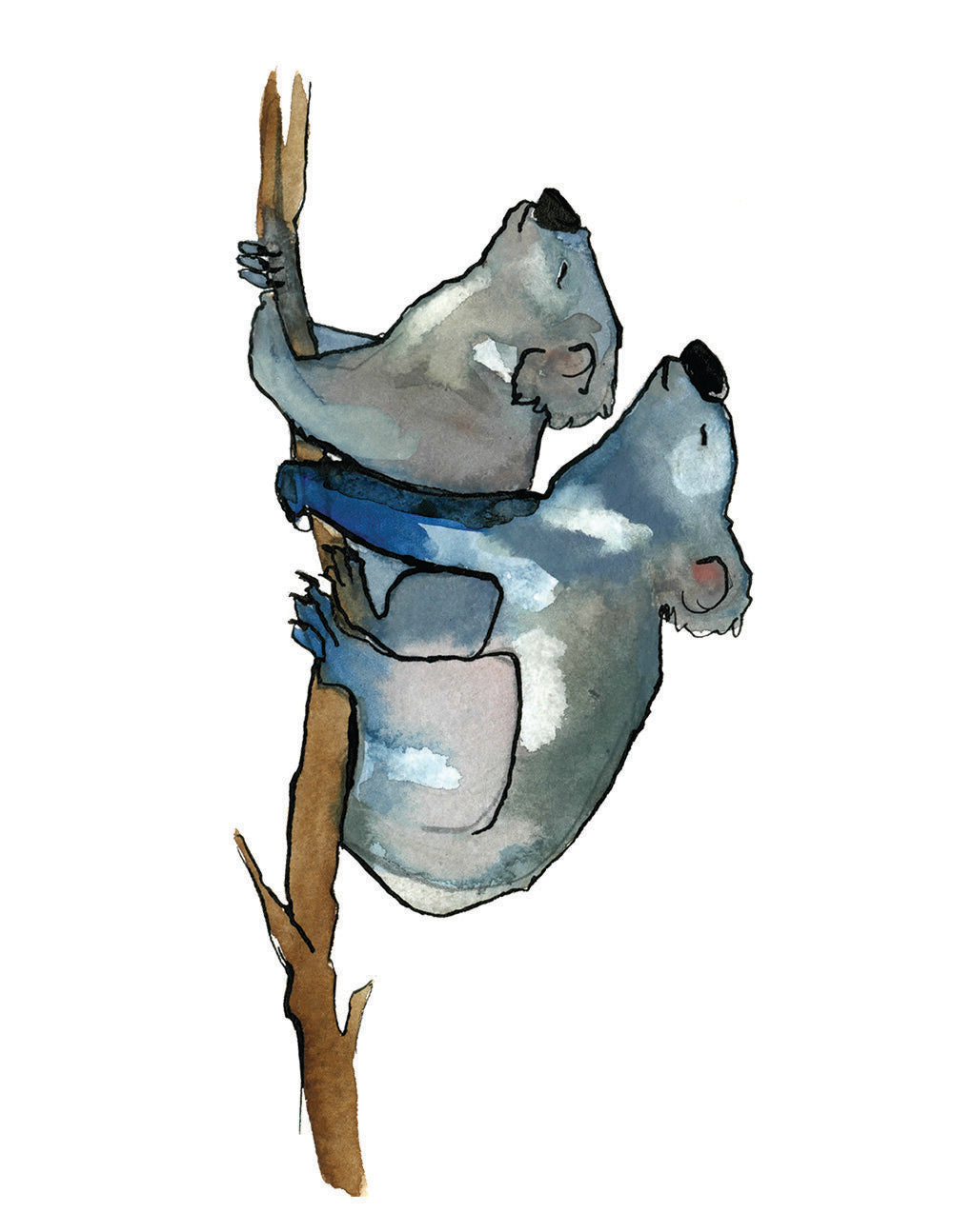 Koala Love