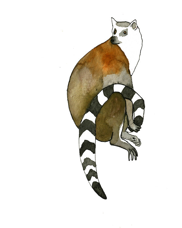 Lemur