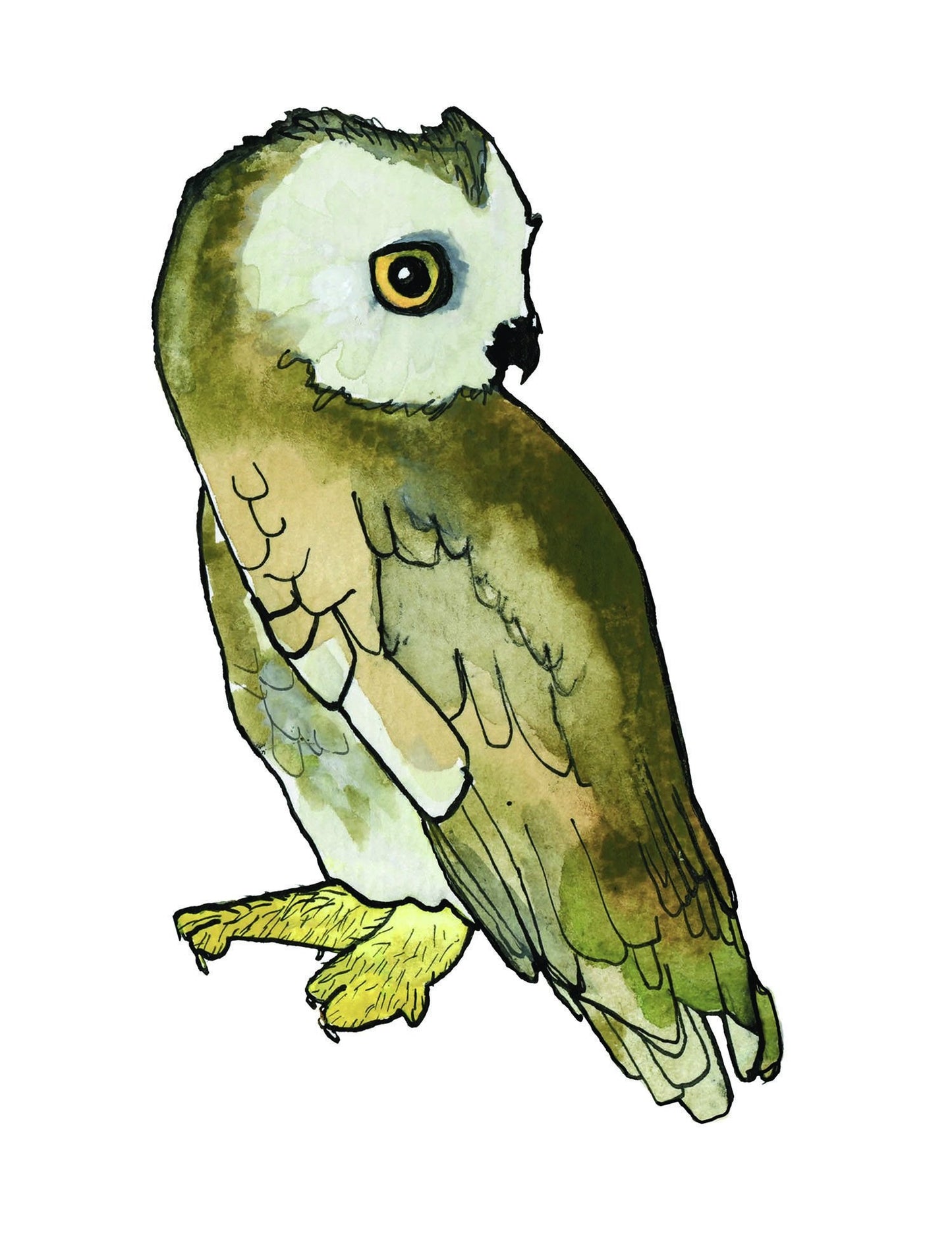 Owl 1