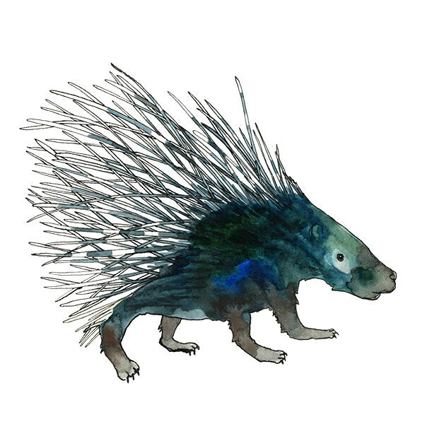 Porcupine
