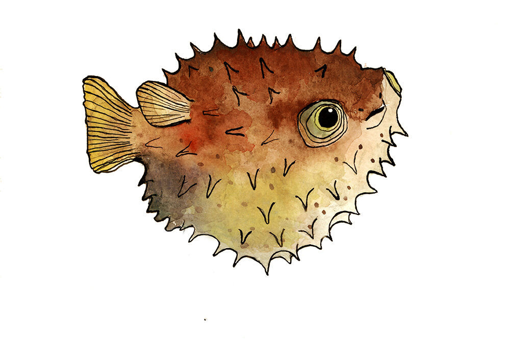 Puffer