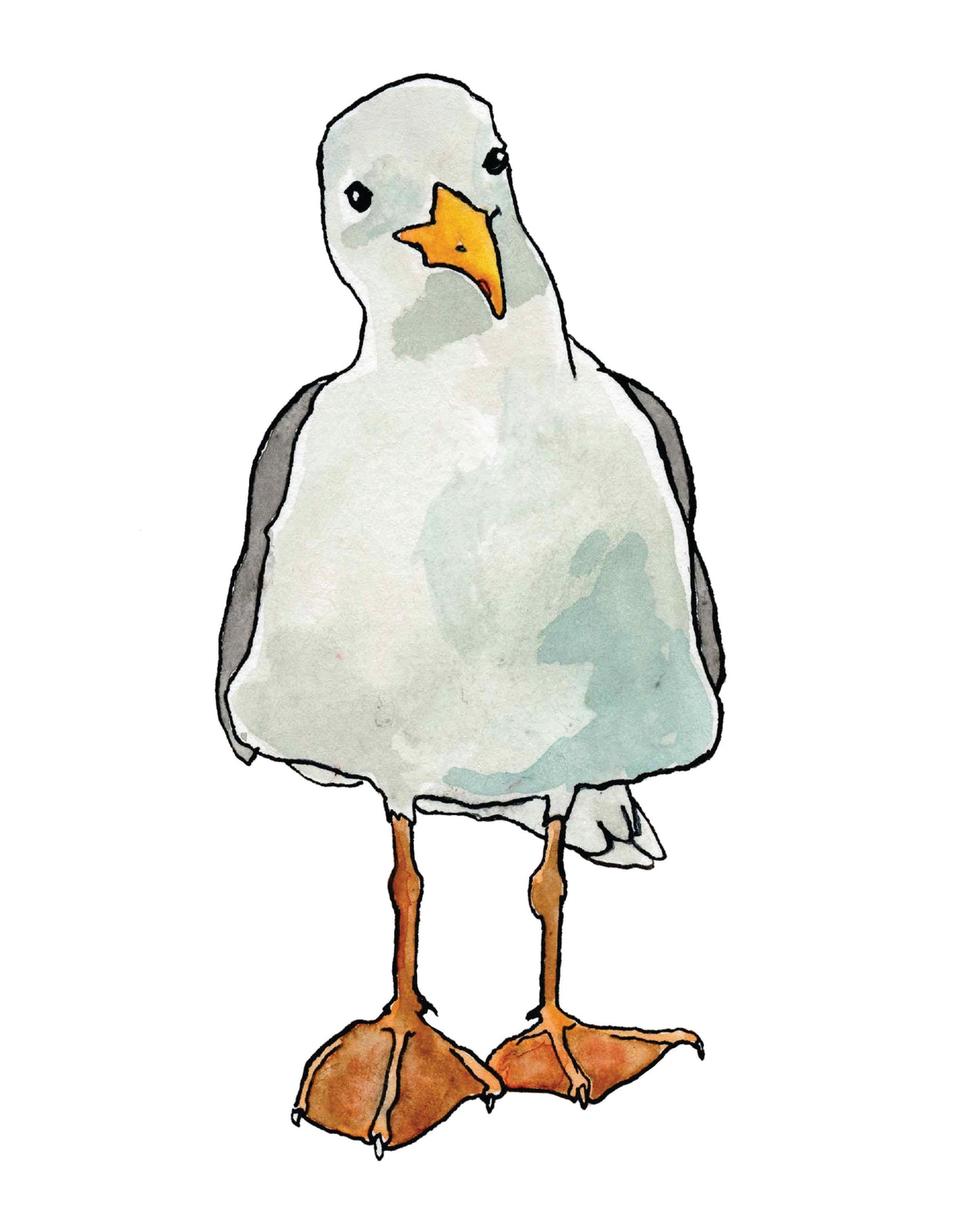 Seagull