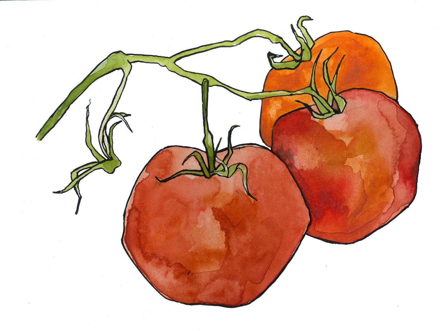 Tomatoes