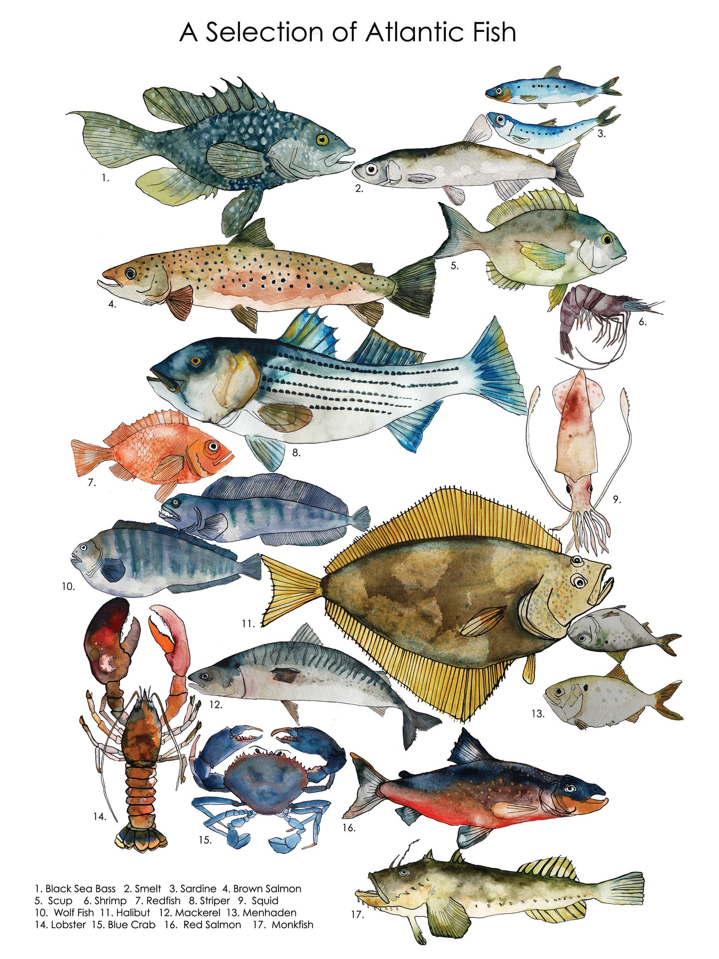 Atlantic Fish Chart