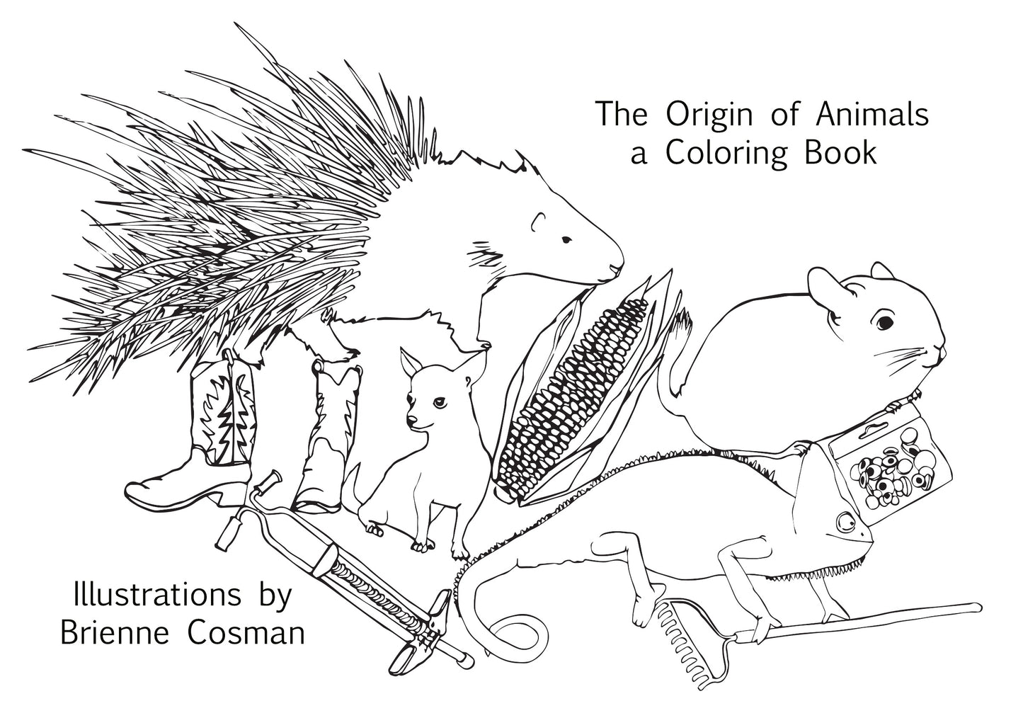 Coloring Book "The Origin of Animals"