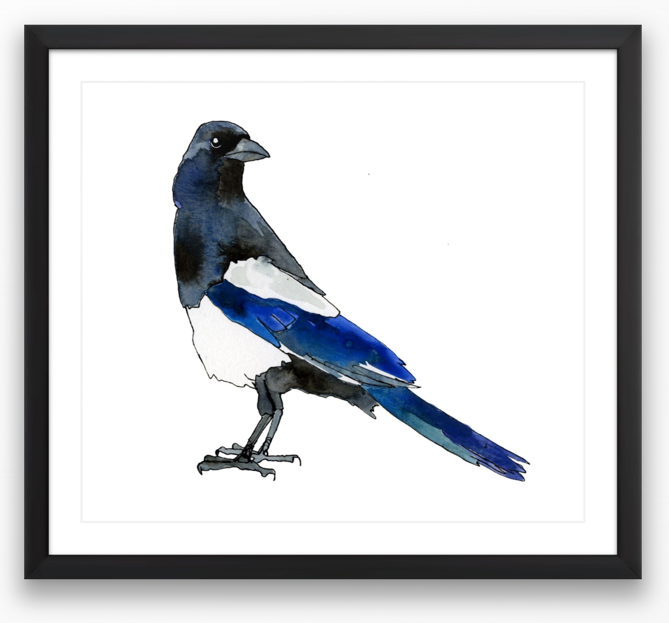 Magpie