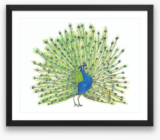 Peacock