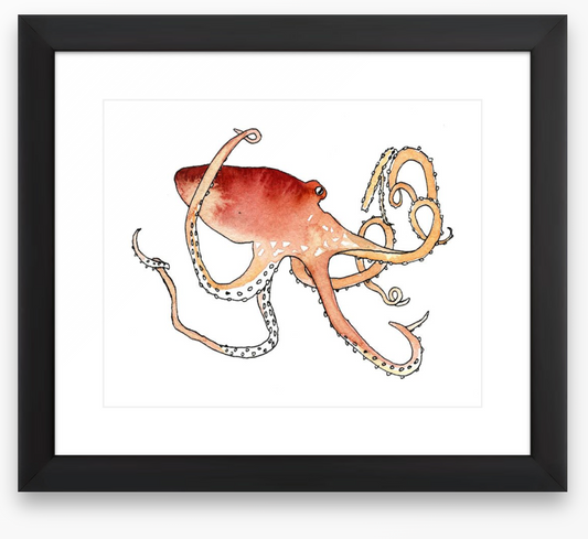 Red Octopus