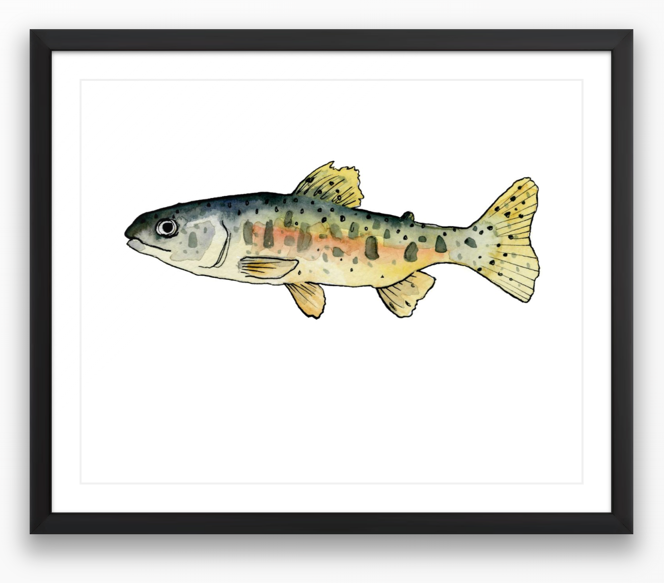 Spotted Salmon