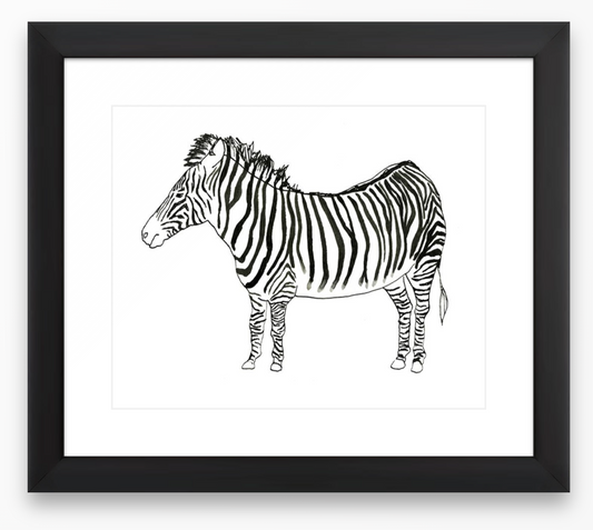 Zebra