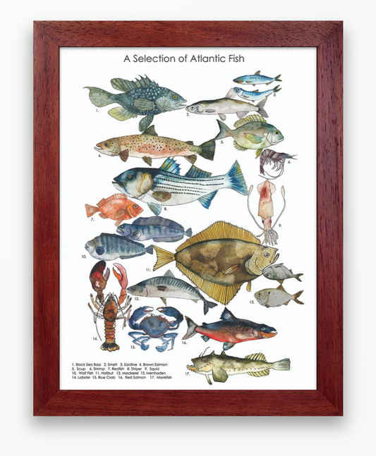 Atlantic Fish Chart