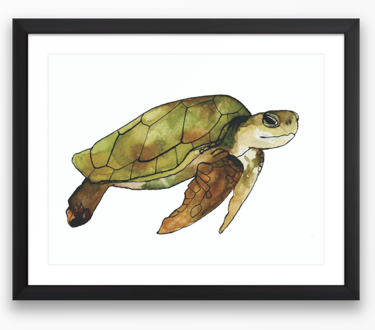 Sea Turtle