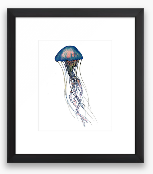 Jellyfish