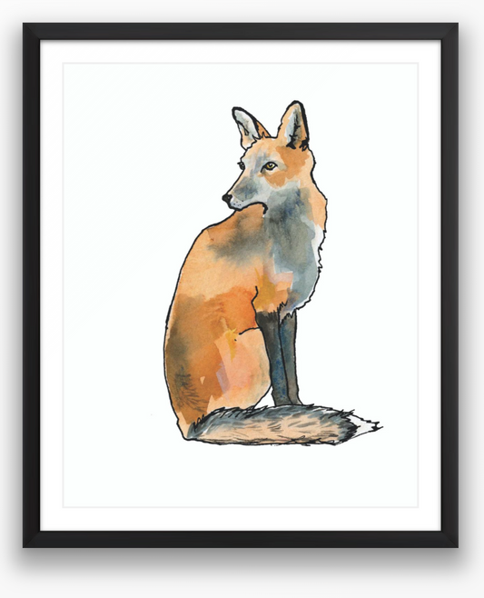 Sitting Fox