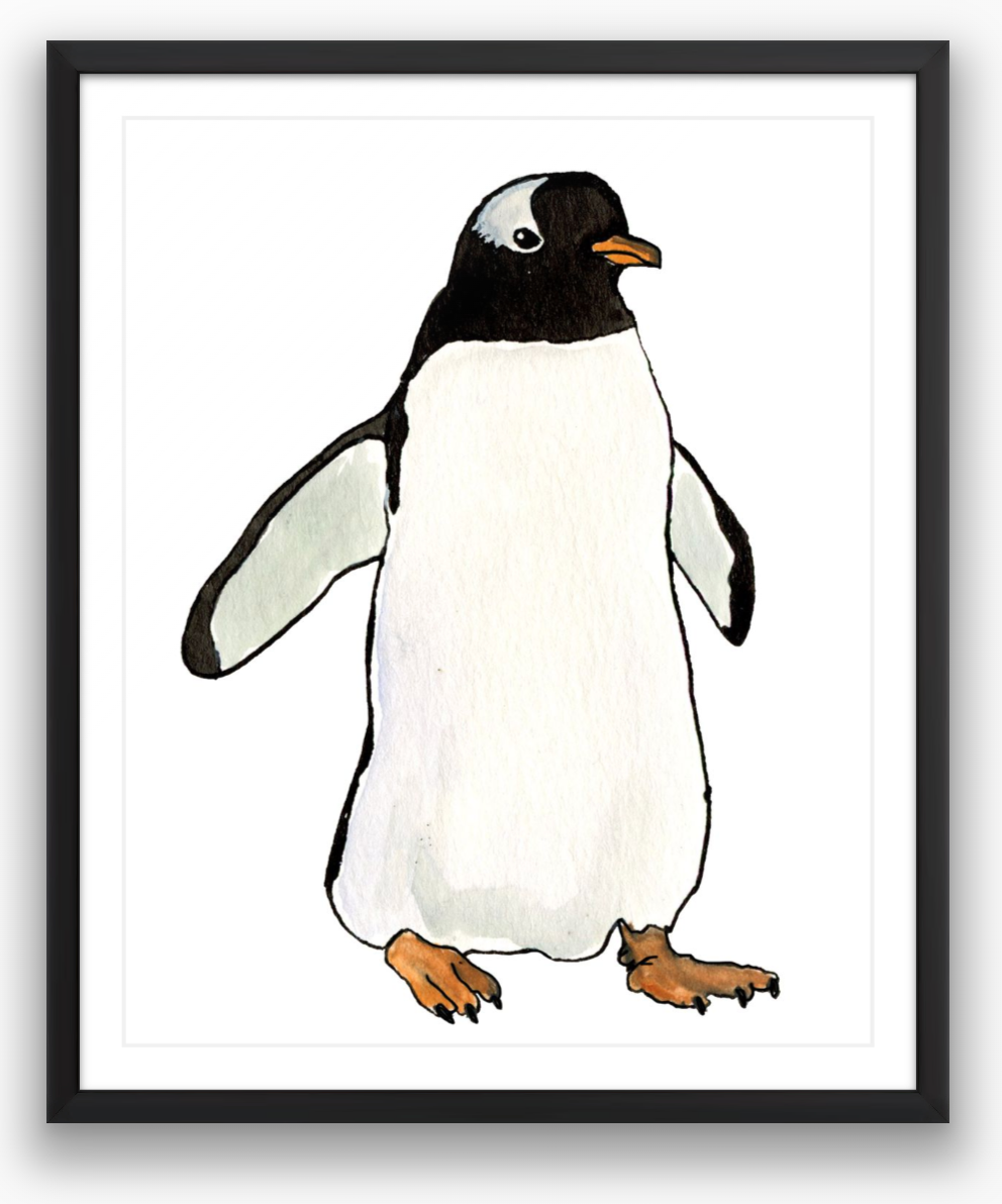 Gentoo Penguin