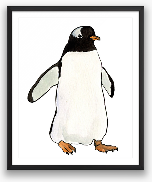 Gentoo Penguin