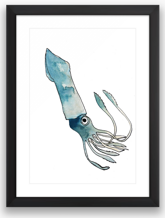 Blue Squid