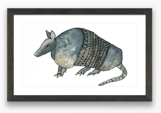 Armadillo