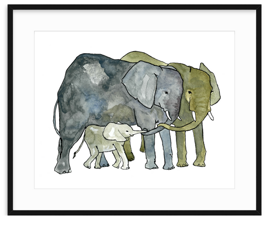 Elephant Family