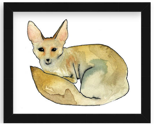 Fennec Fox