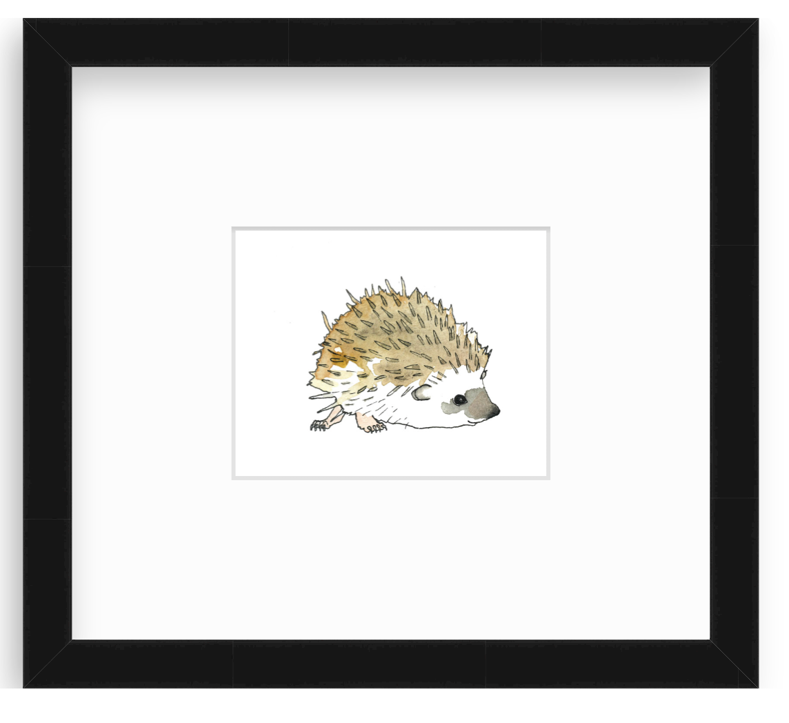 Hedgehog