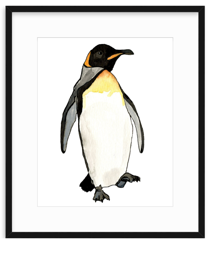 King Penguin