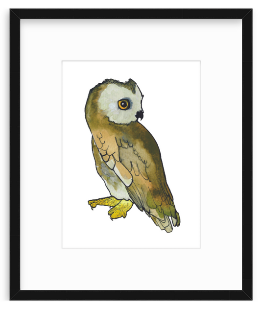 Owl 1