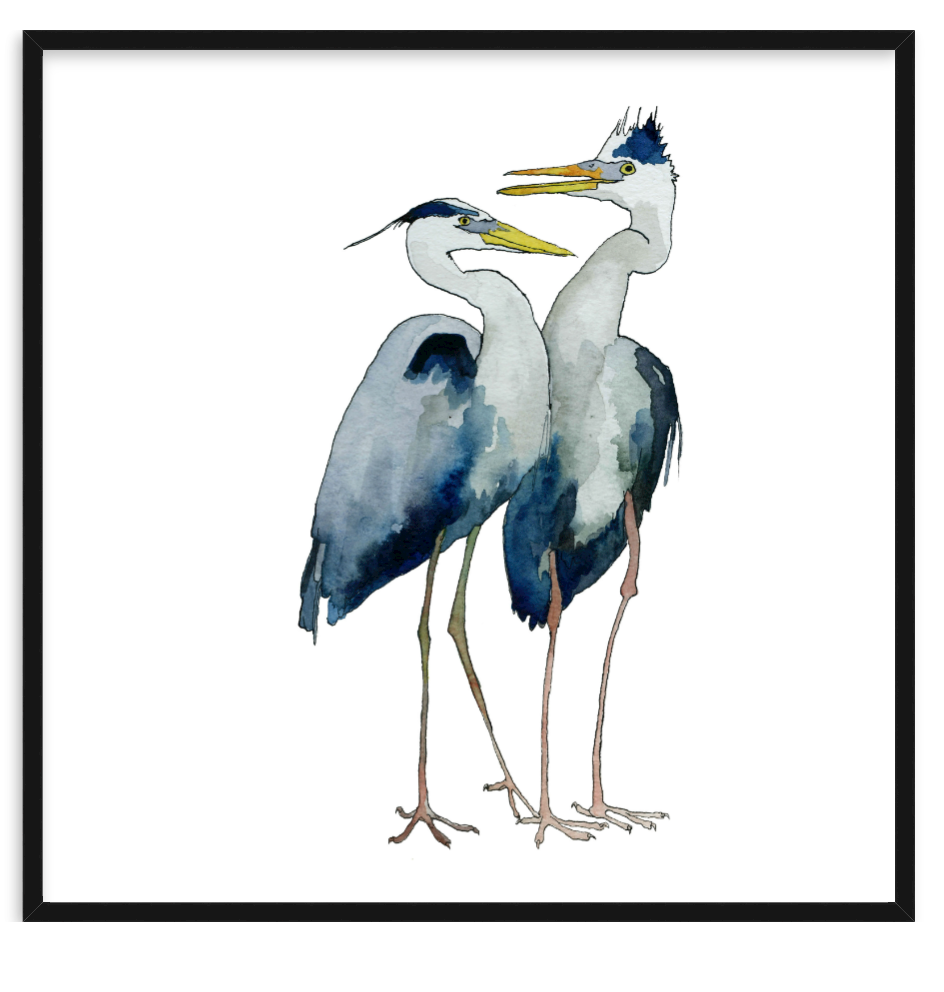 Blue Herons