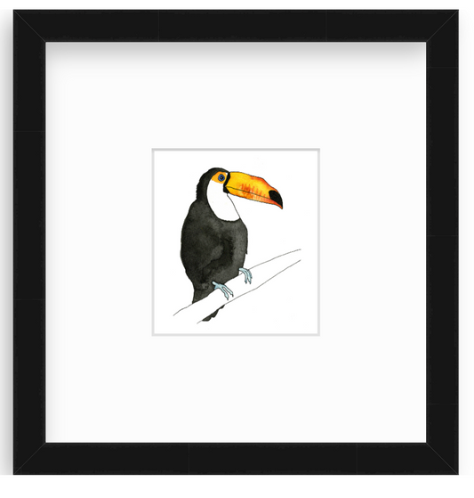 Toucan