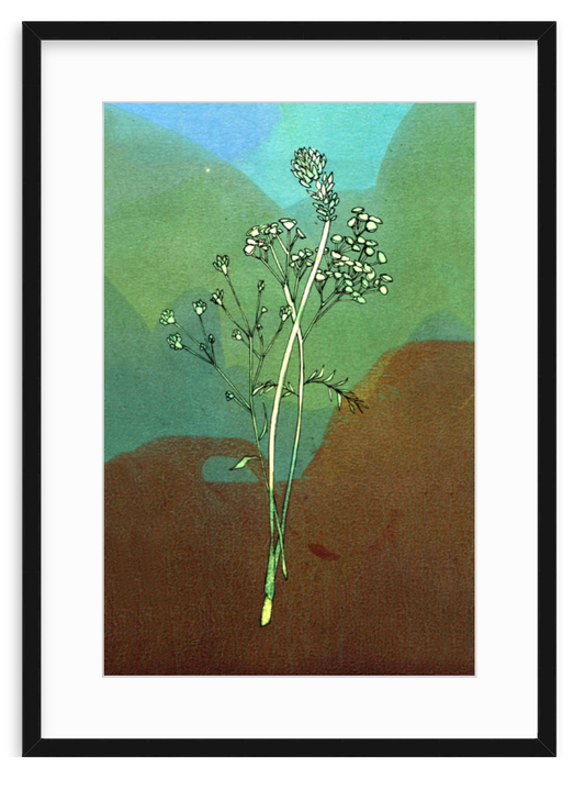 Blue Green Dried Dipper Print