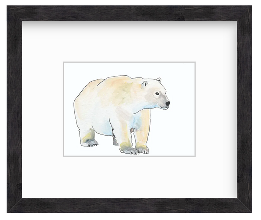 Polar Bear