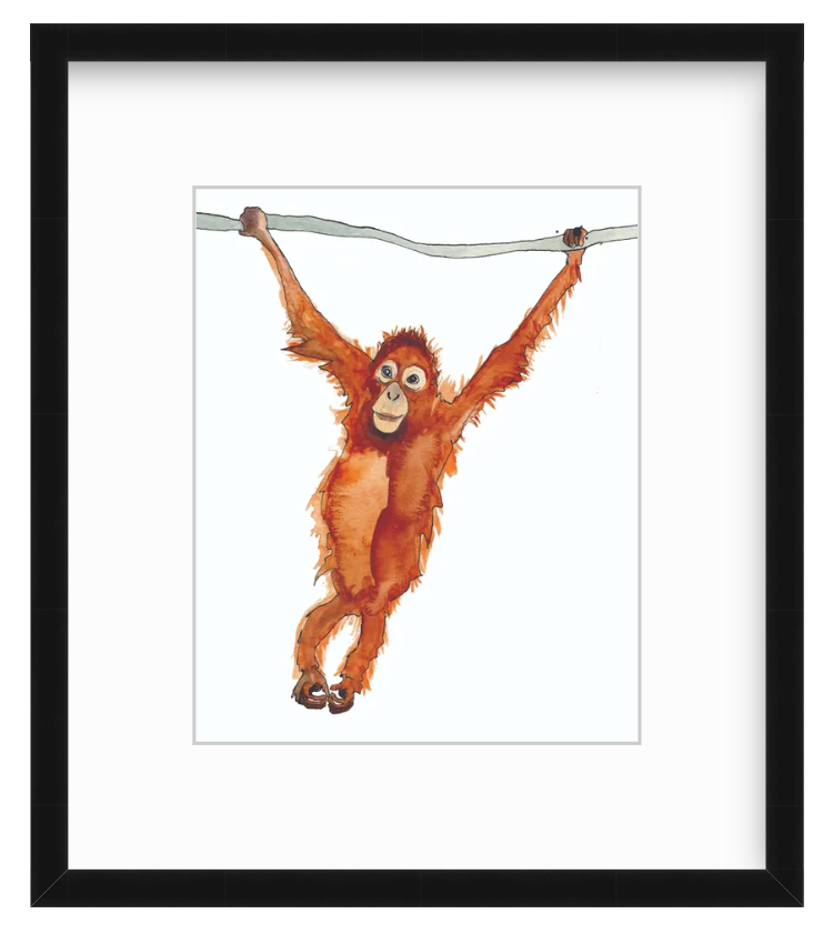 Orangutan