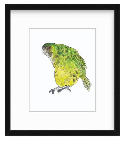 Kakapo