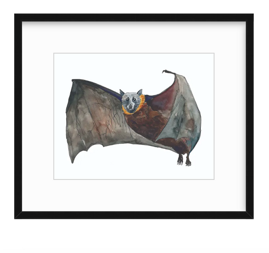 Fruit Bat