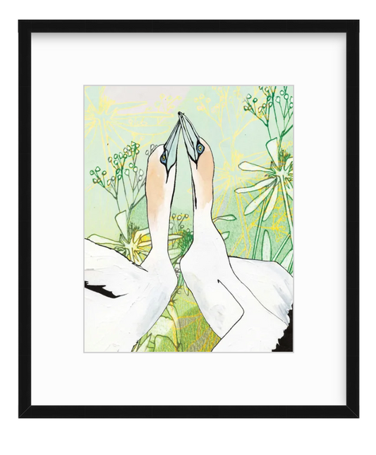 Gannets et Flur