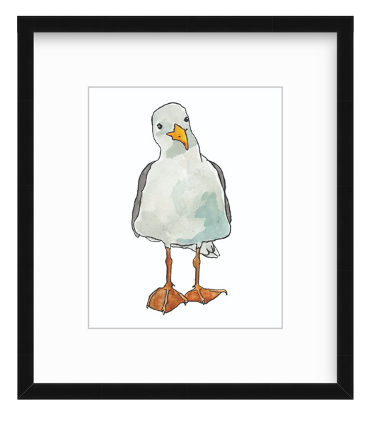 Seagull