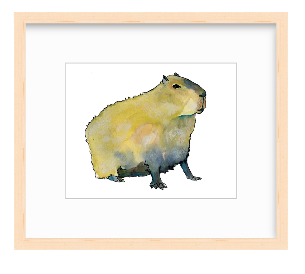 Capybara